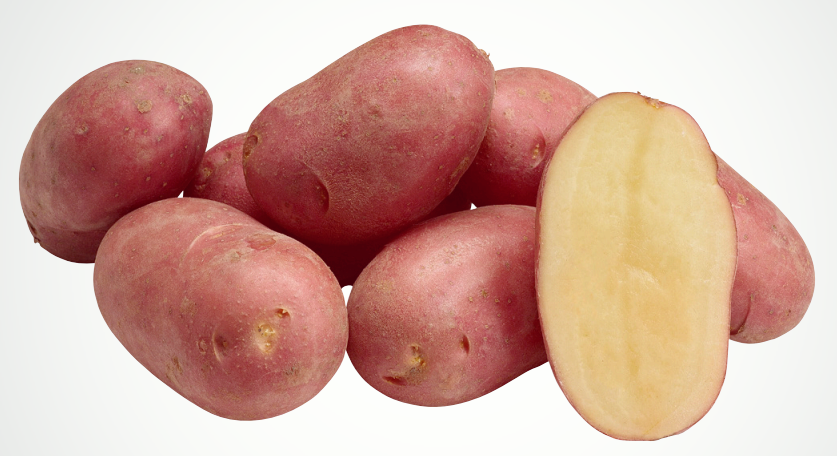Red potatoes: excellent in the kitchen, valuable for your body