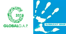 Global GAP - GRASP