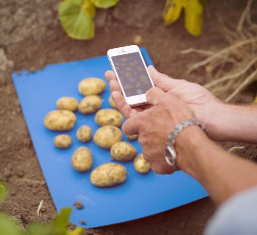 Potato 2.0: the future is here