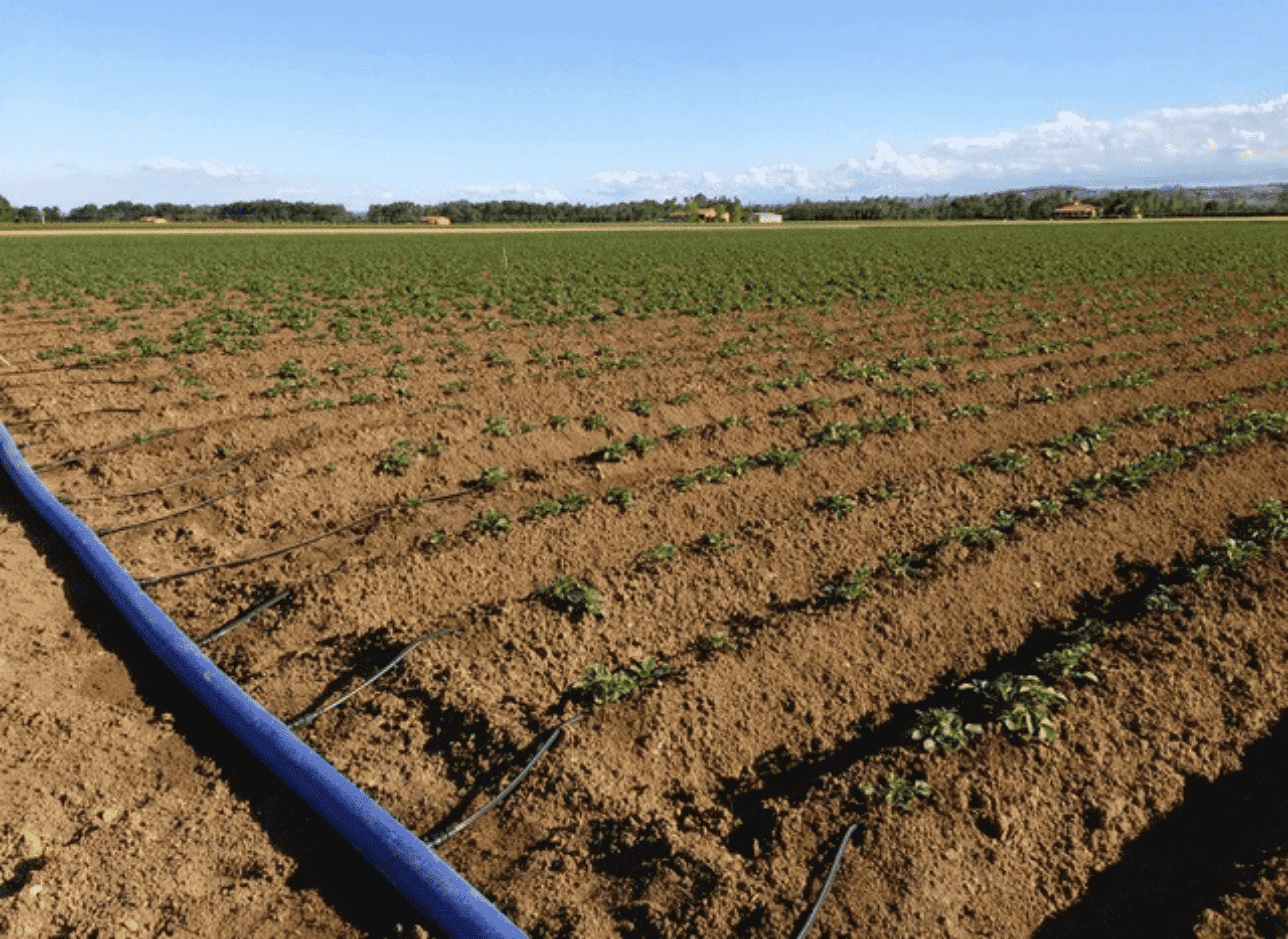 Agricoltura e irrigazione, il viaggio verso la sostenibilità