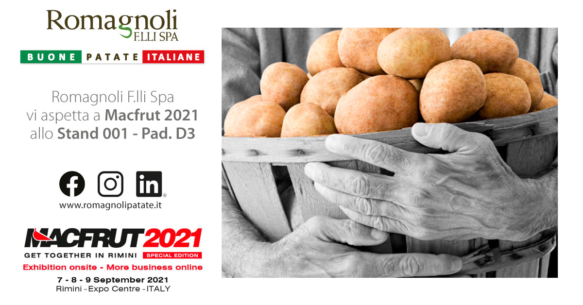 Sustainable innovation and potato-growing: Macfrut 2021 with Romagnoli F.lli S.p.A.