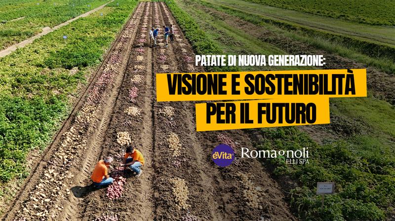 Innovazione in campo: le nostre Patate di nuova generazione