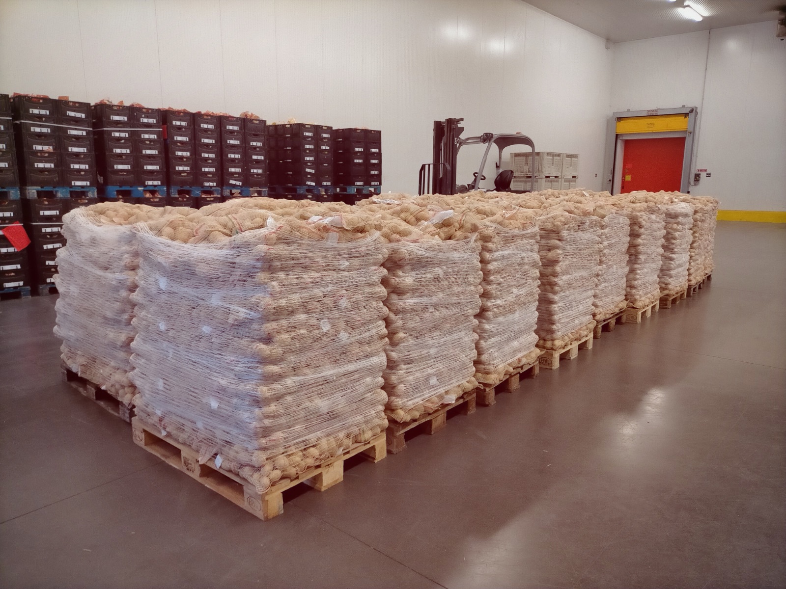 Solidarietà: Romagnoli F.lli Spa dona 50 tonnellate di patate a Banco Alimentare Emilia-Romagna
