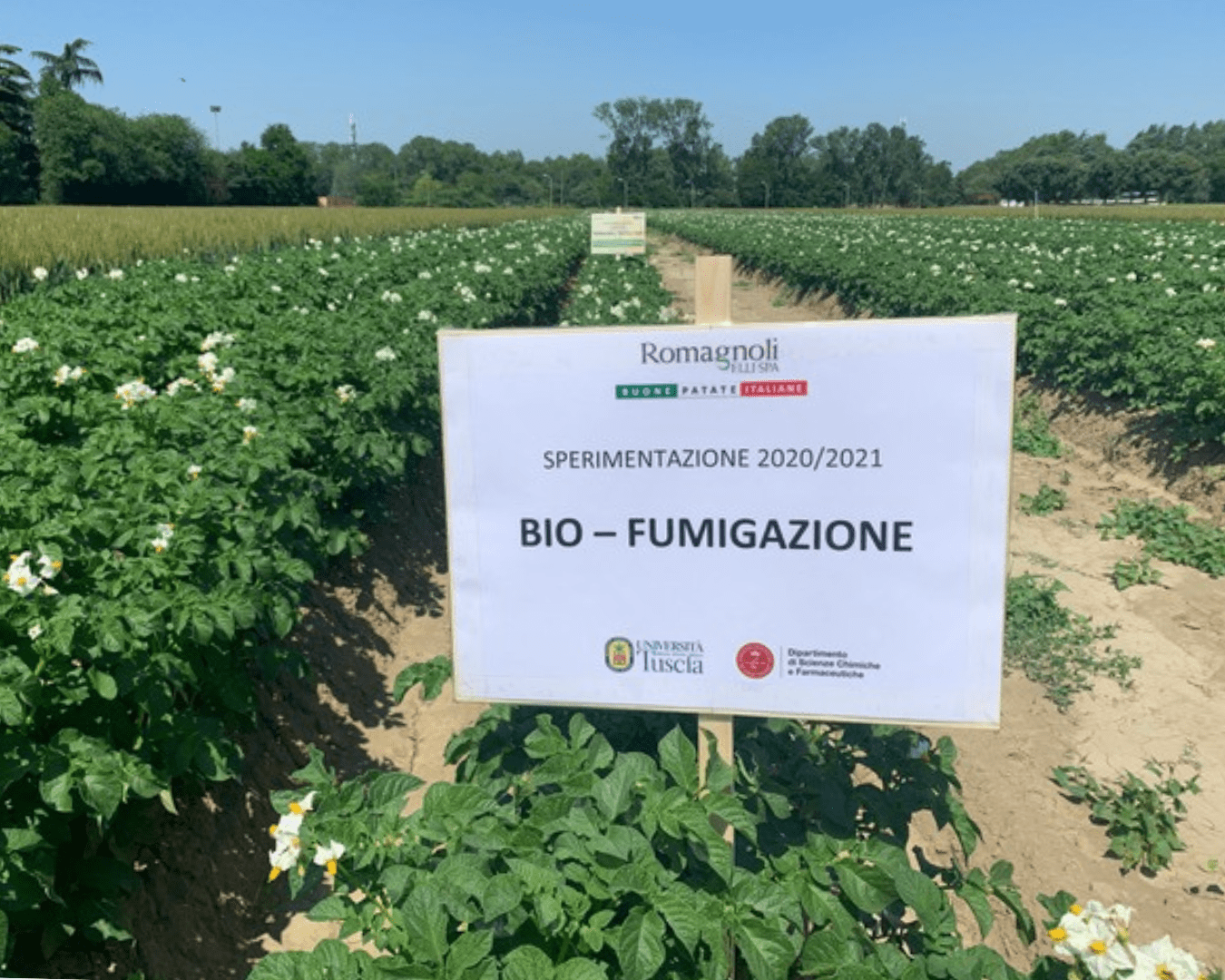 Field trials continue for sustainable agriculture