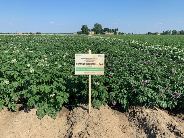 Campo Romagnoli F.lli varieta Levante Residuo Zero provincia di Bologna