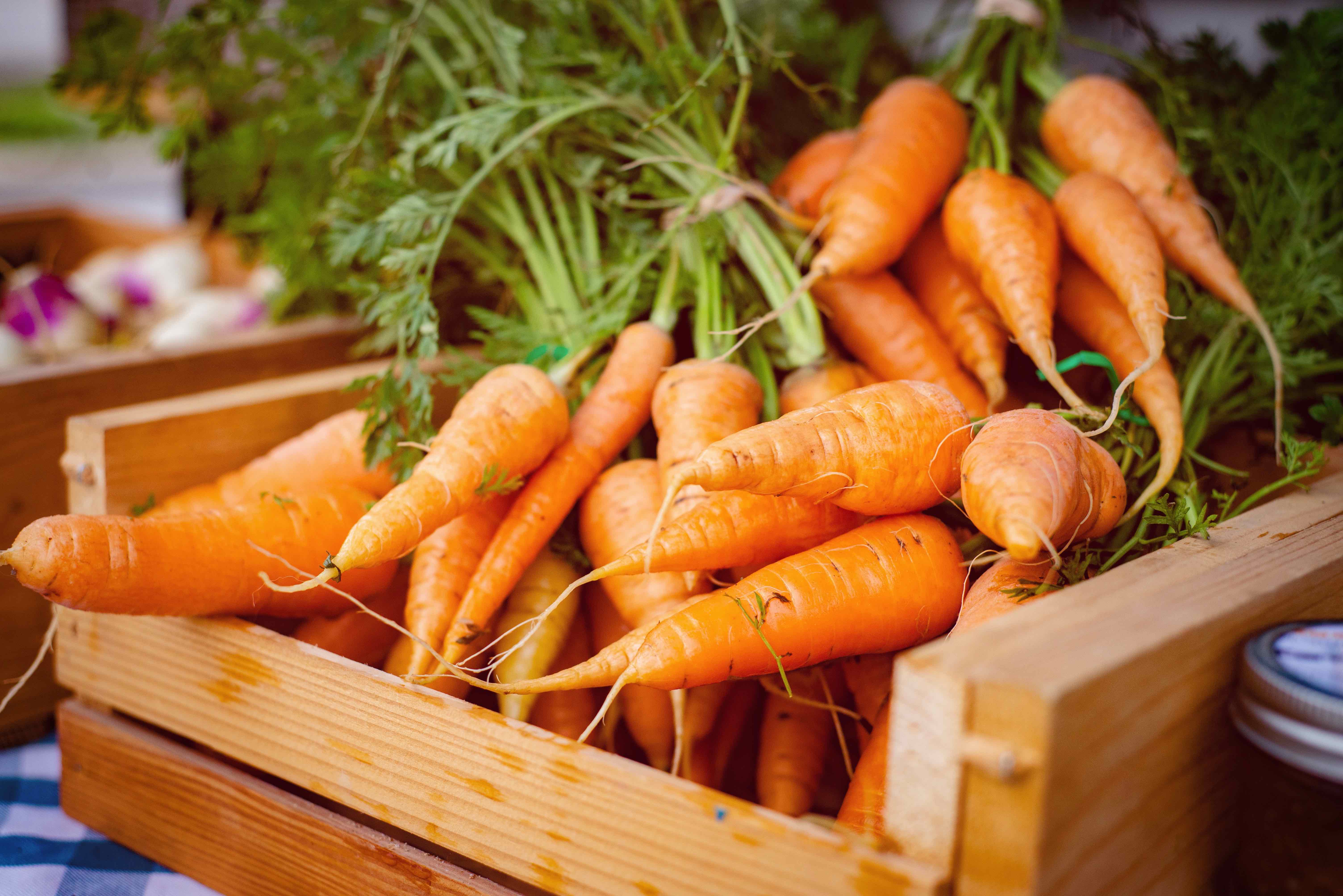 In search of underground vegetables