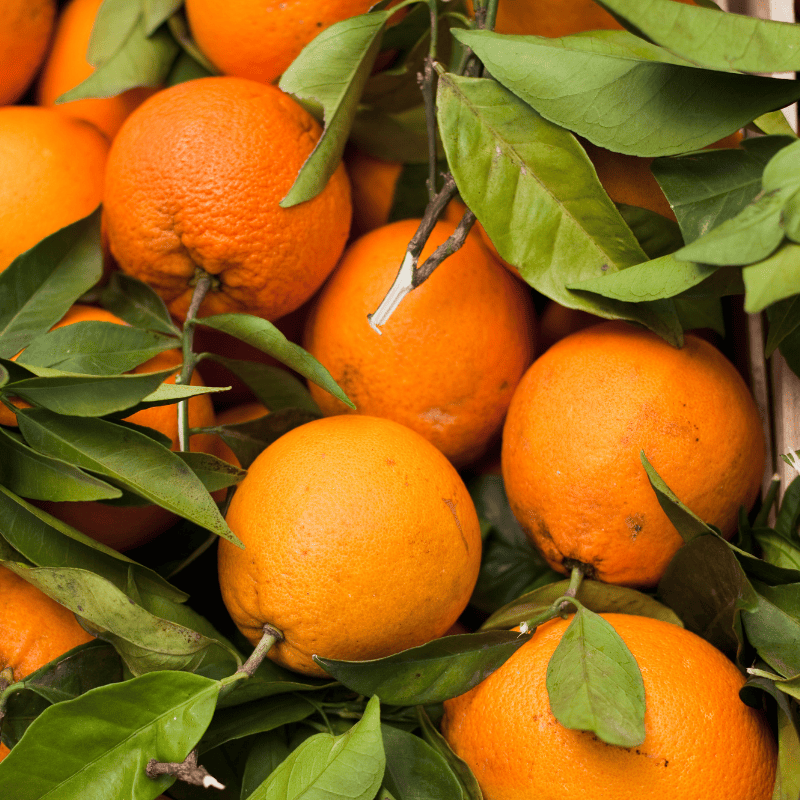 Fruit and vegetables of December