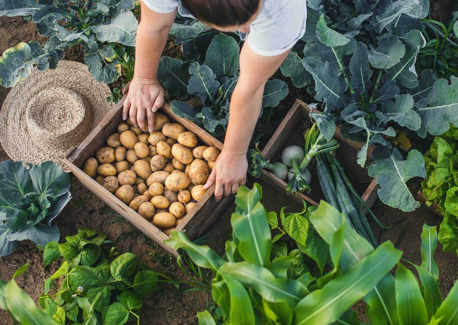 La rivoluzione dei giovani agricoltori