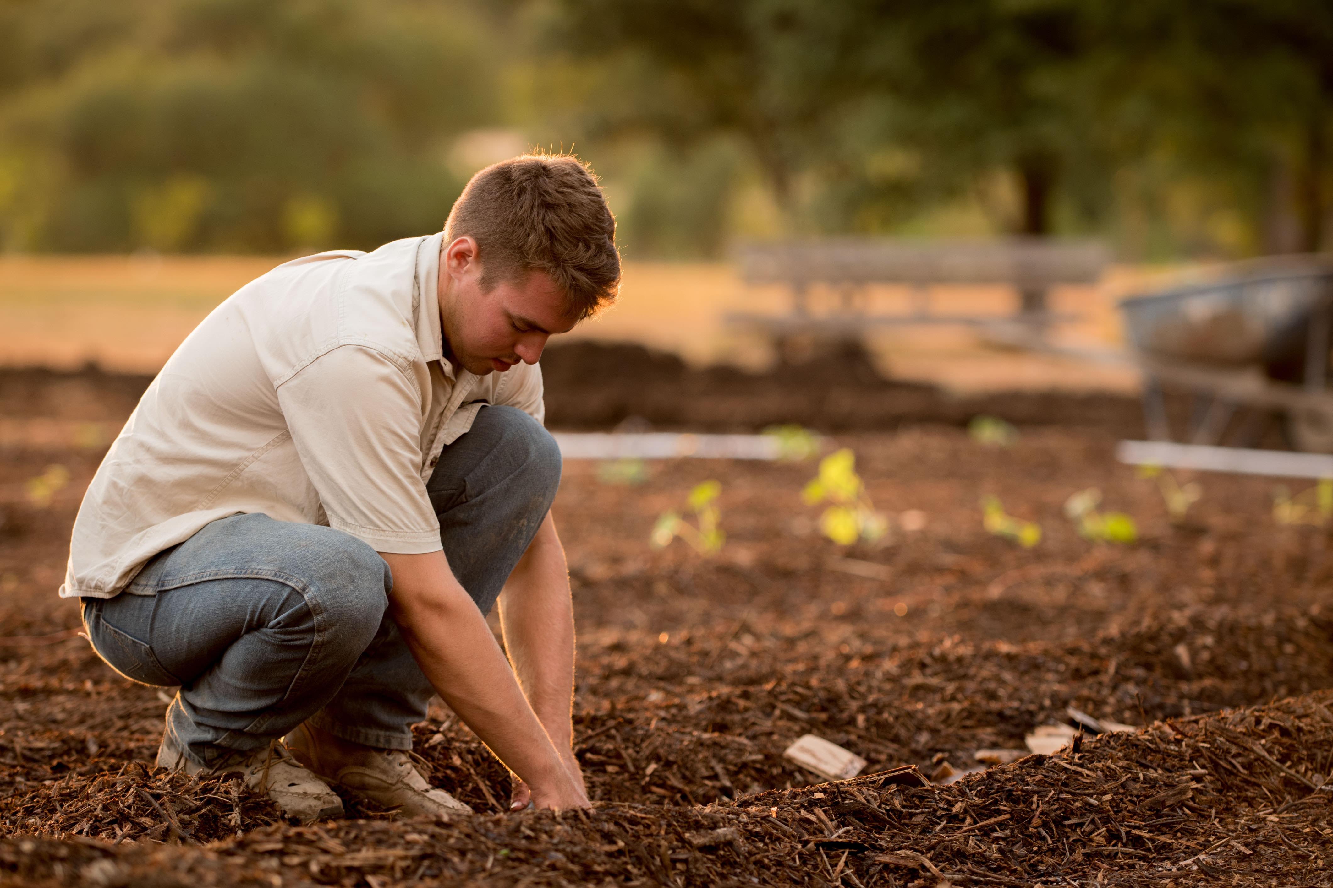 I giovani sono sempre più interessati all’agricoltura