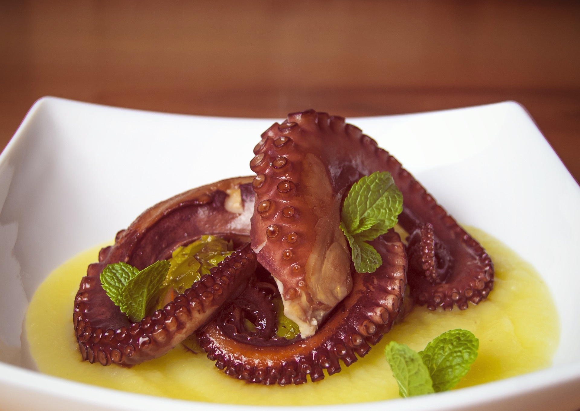 Octopus on creamy potato sauce