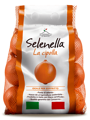 Cipolla gialla selenella 2023