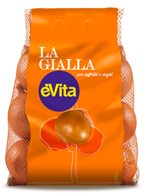 Cipolle éVita gialla 2023