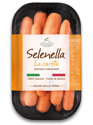 Carote selenella 2026