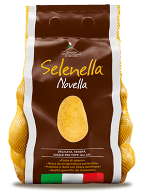 Selenella novella 2023