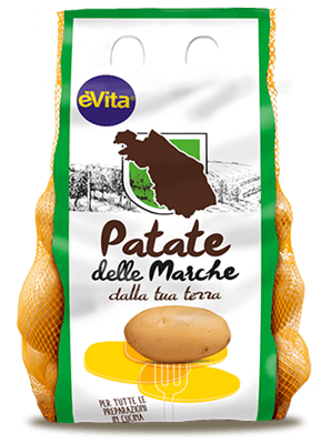 Patata èVita delle Marche