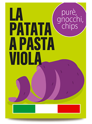 Patata Viola 2023