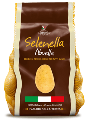 Selenella novella 2023