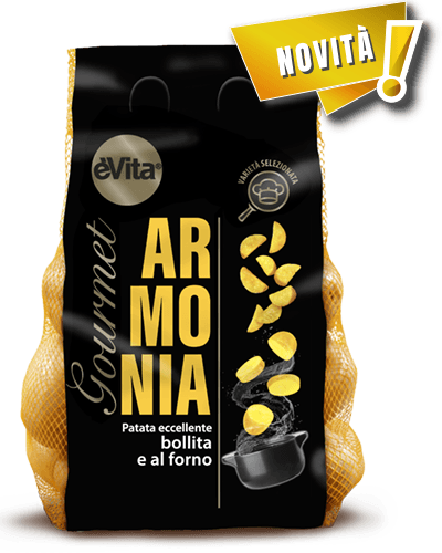 Patata Armonia Gourmet