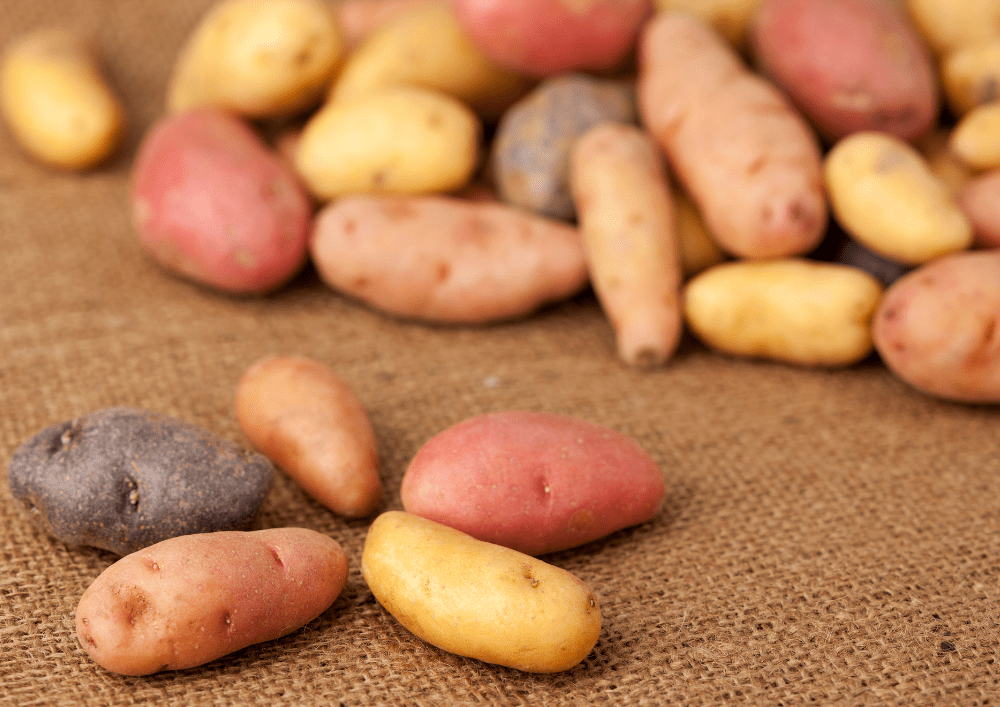 Which types of potatoes to use for cooking