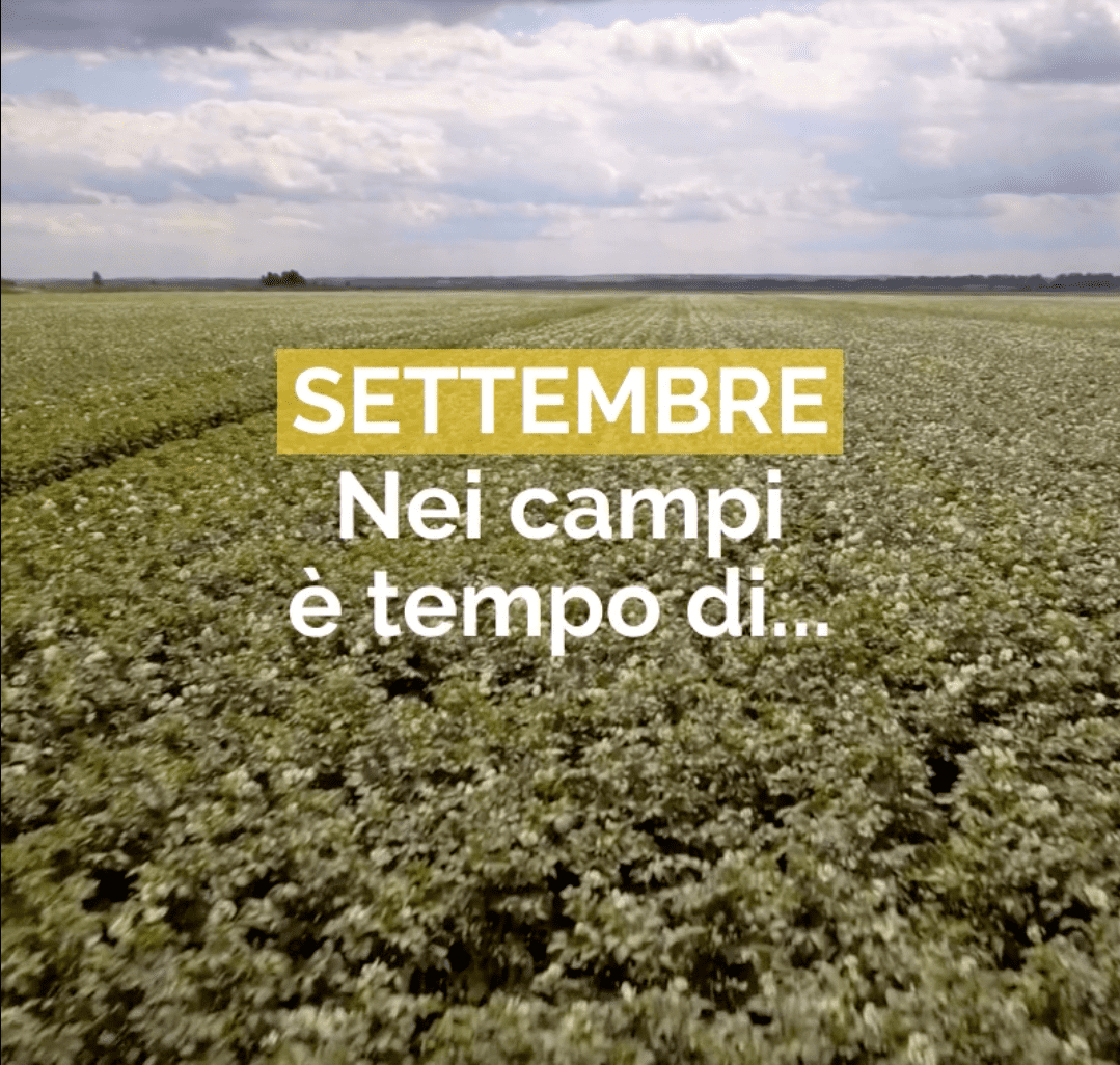 Settembre: nei campi è tempo di...