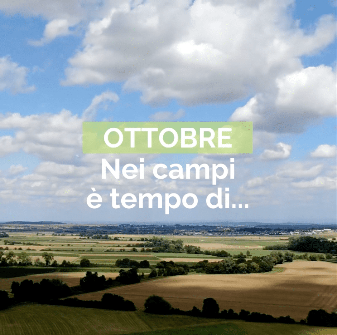 Ottobre: nei campi è tempo di...