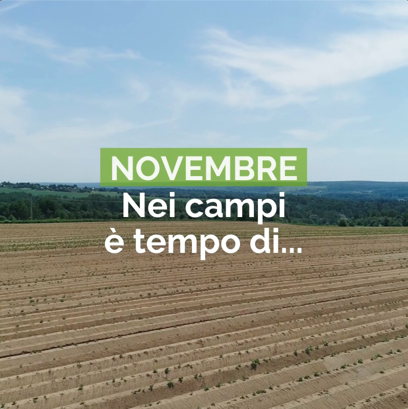 Novembre: nei campi è tempo di...