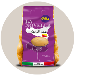 IcoConsumo Novella Siciliana 2021