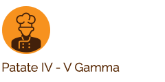 IV - V Gamma