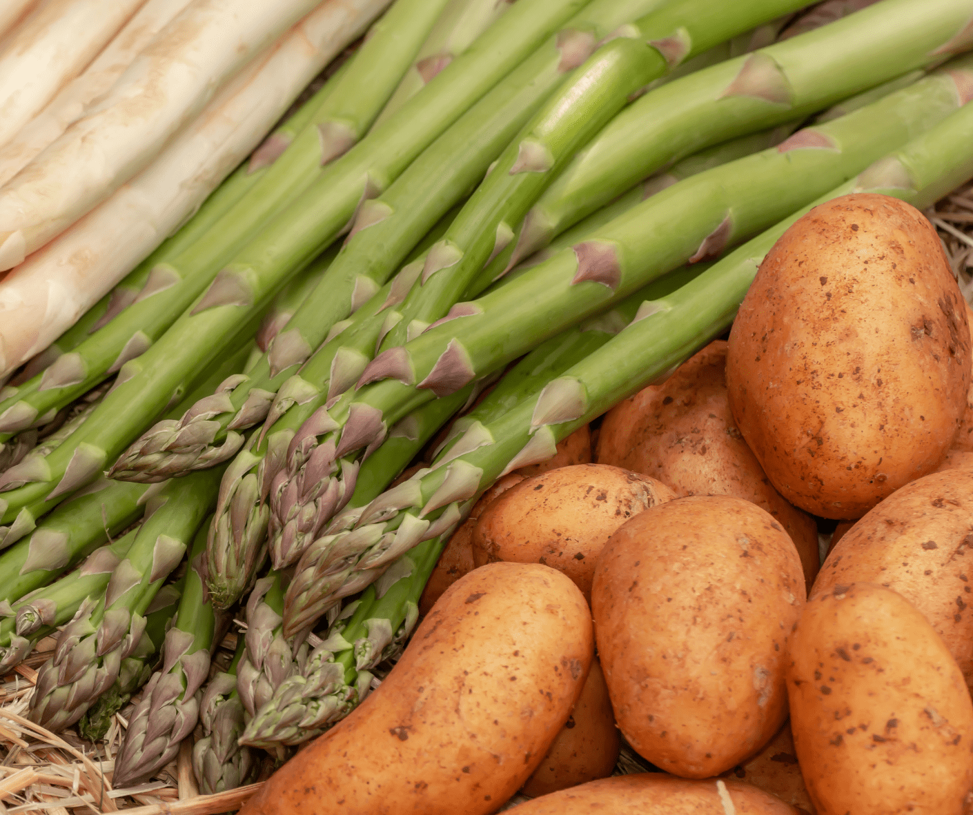 Spring: seasonal vegetables