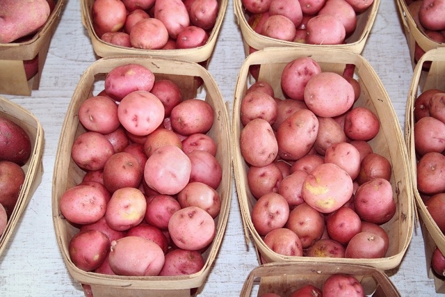 Emilia-Romagna’s potato crop has been great this year. Quality, innovation, and the supply chain are generating success