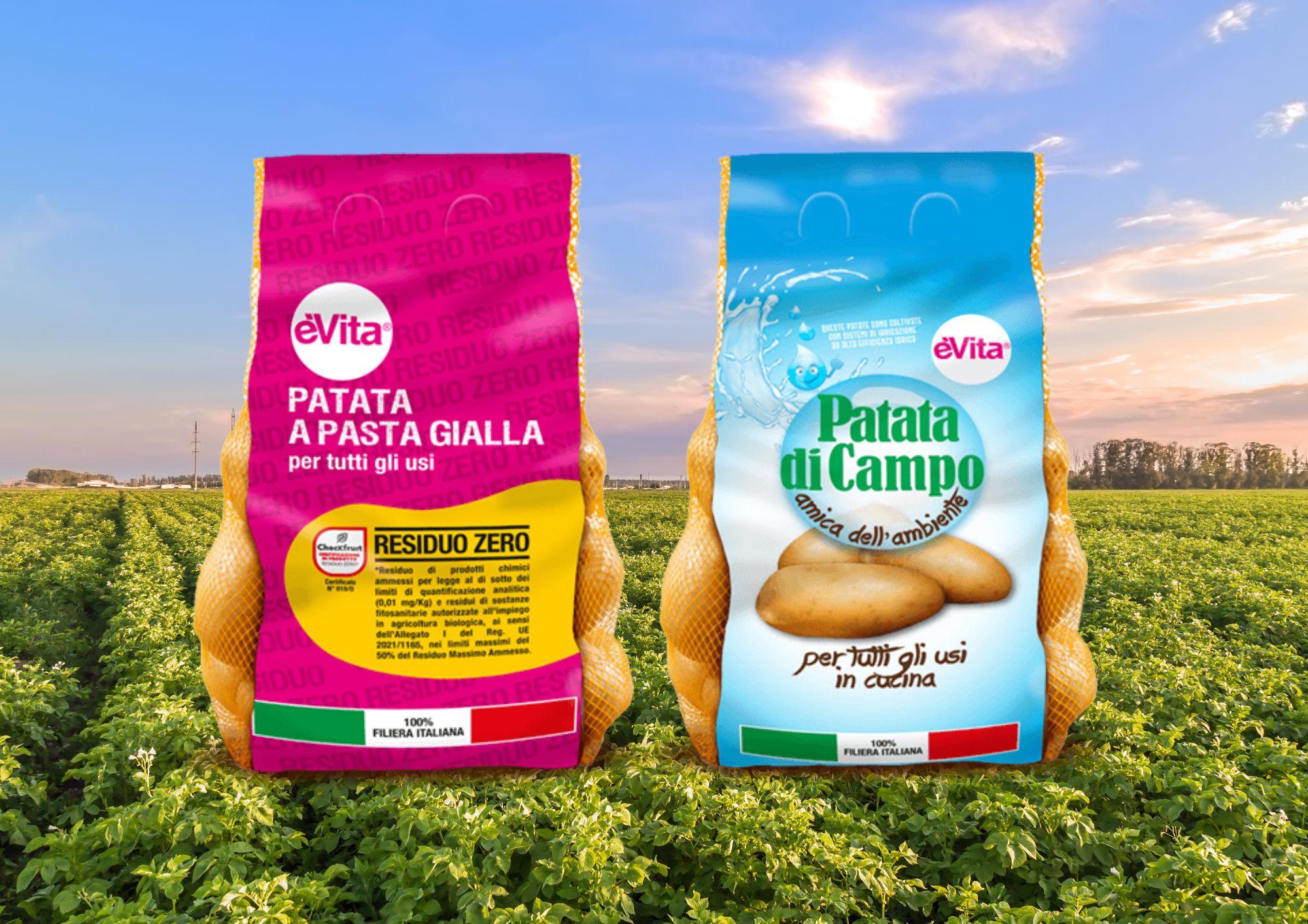 Potatoes and climate change: a critical perspective