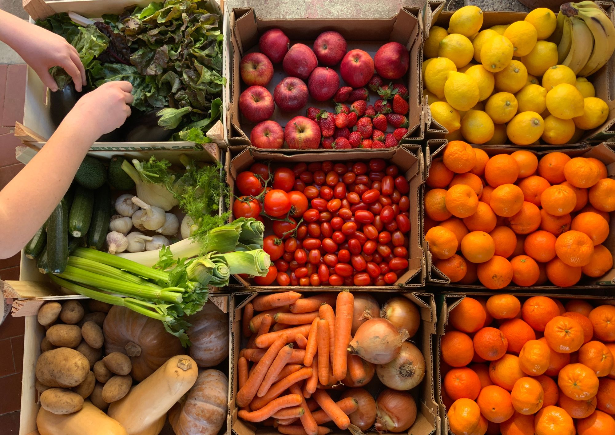 The rule of 5 portions of fruit and vegetables