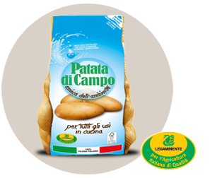 IcoConsumo DiCampo1