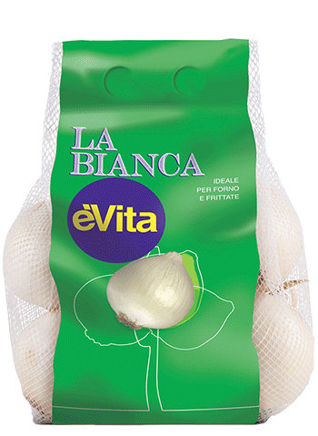 prodotti cipolla bianca