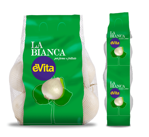 prodotti cipolla bianca