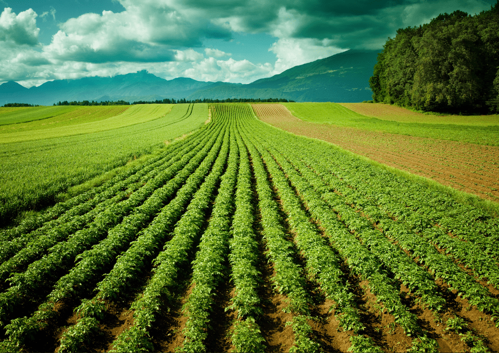 Sustainable, Residue-Free agriculture to preserve biodiversity