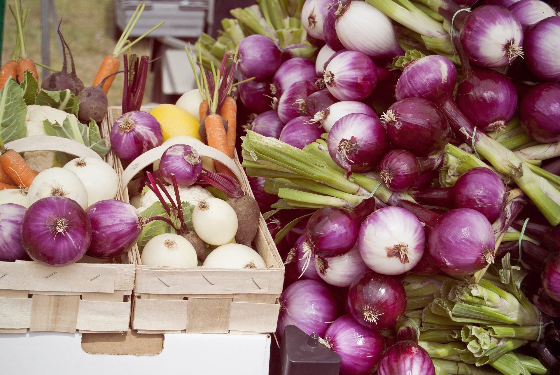 Cipolle: ad ogni varietà la propria ricetta