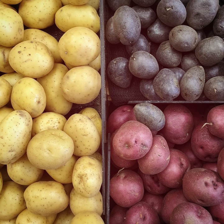 Yellow, red, and purple: all the colours of potatoes