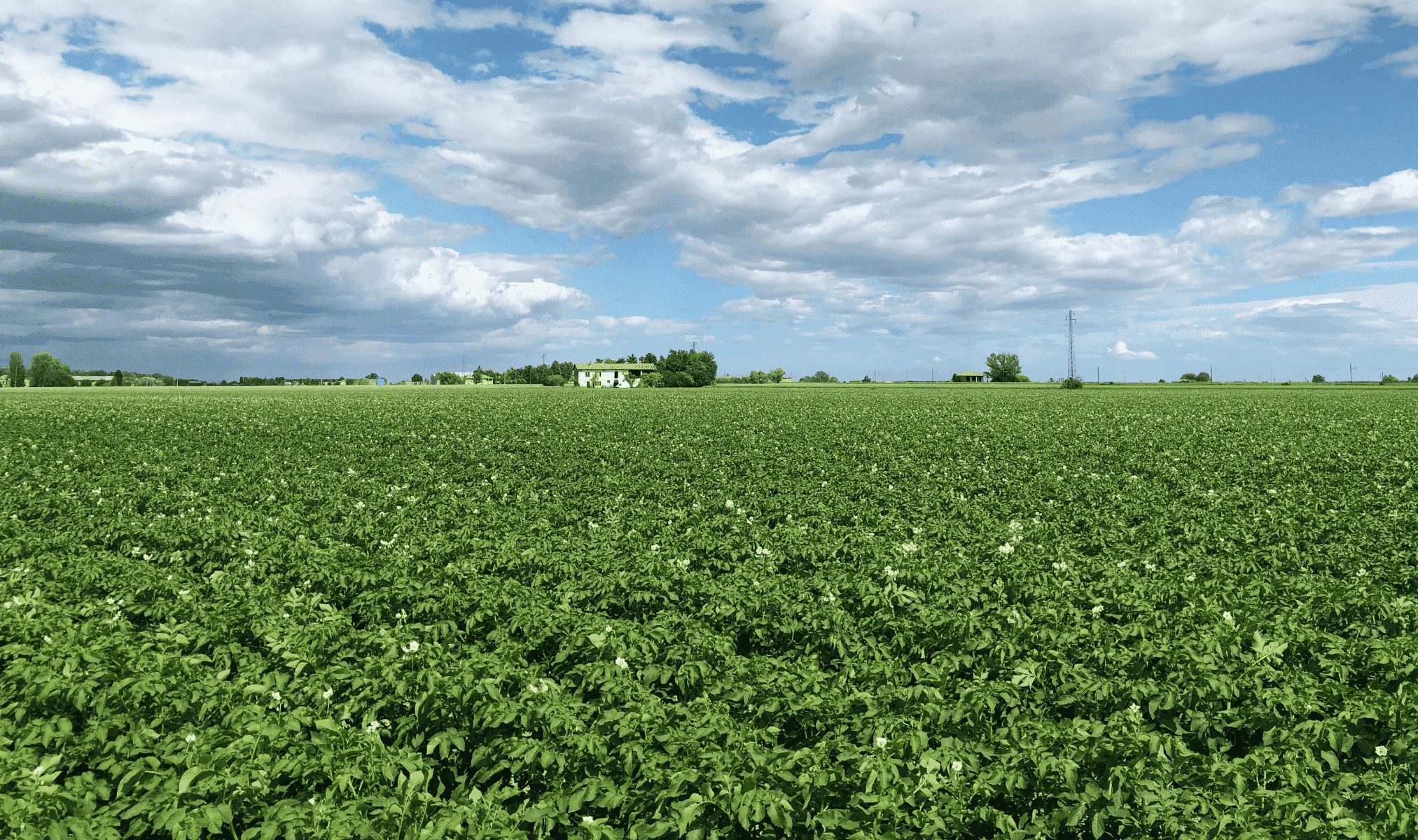 Come un'agricoltura sostenibile può preservare la biodiversità?