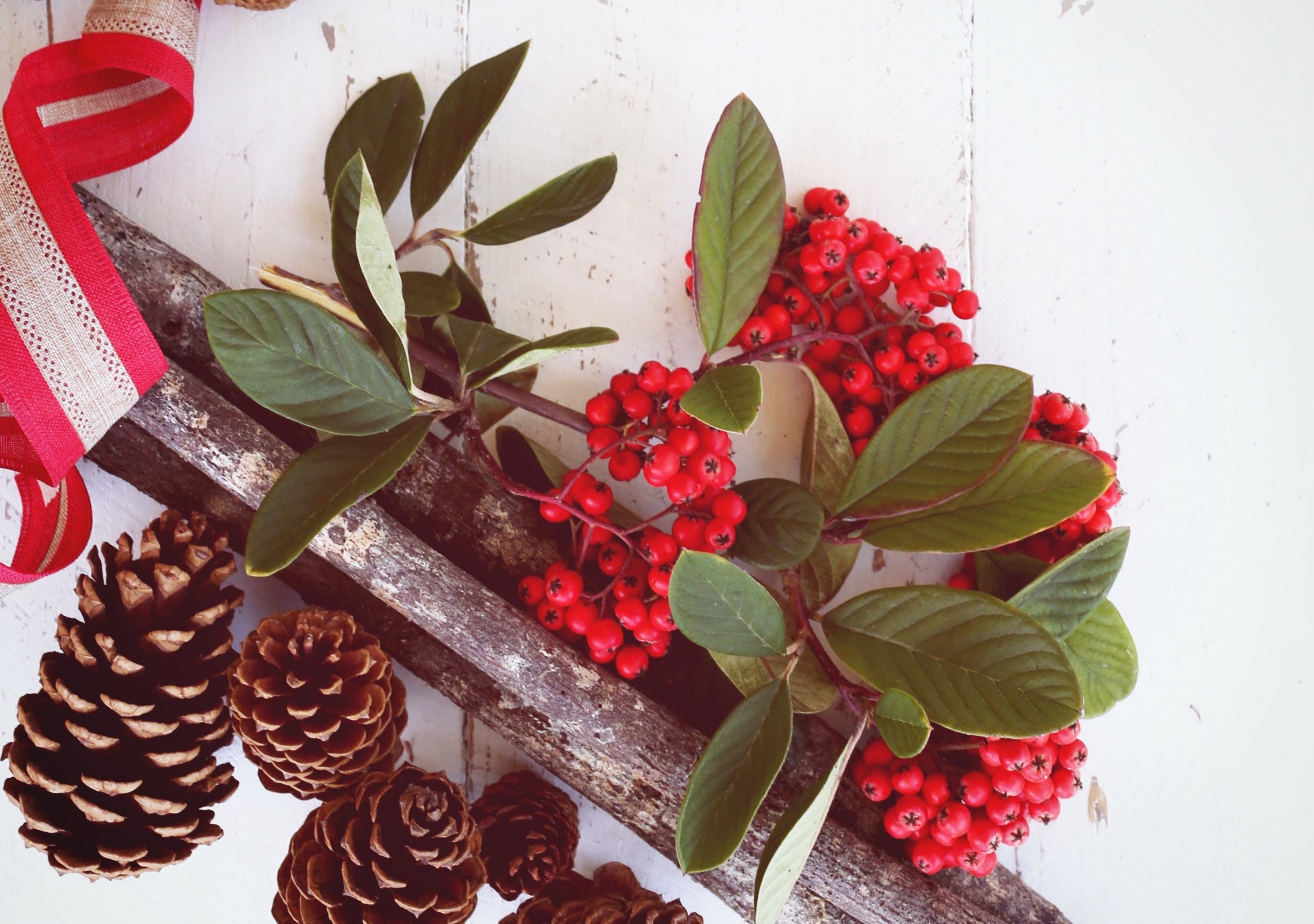 Homemade, environmentally sustainable Christmas decorations