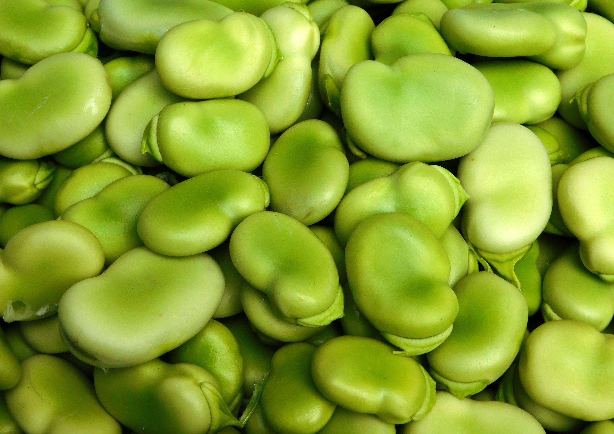 May: fruit and vegetables of the month
