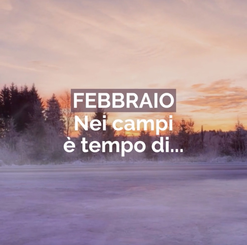 Febbraio: nei campi è tempo di...
