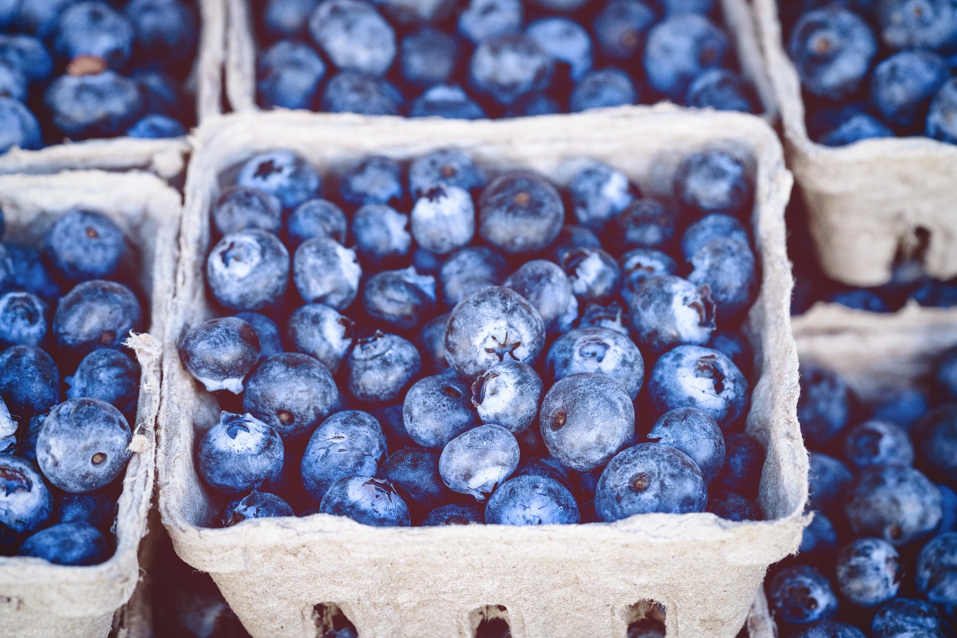 All the benefits of blue fruit and vegetables