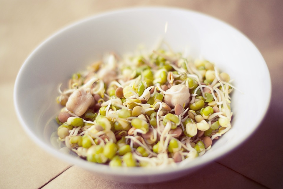 Sprouted seeds: how to use them in your recipes