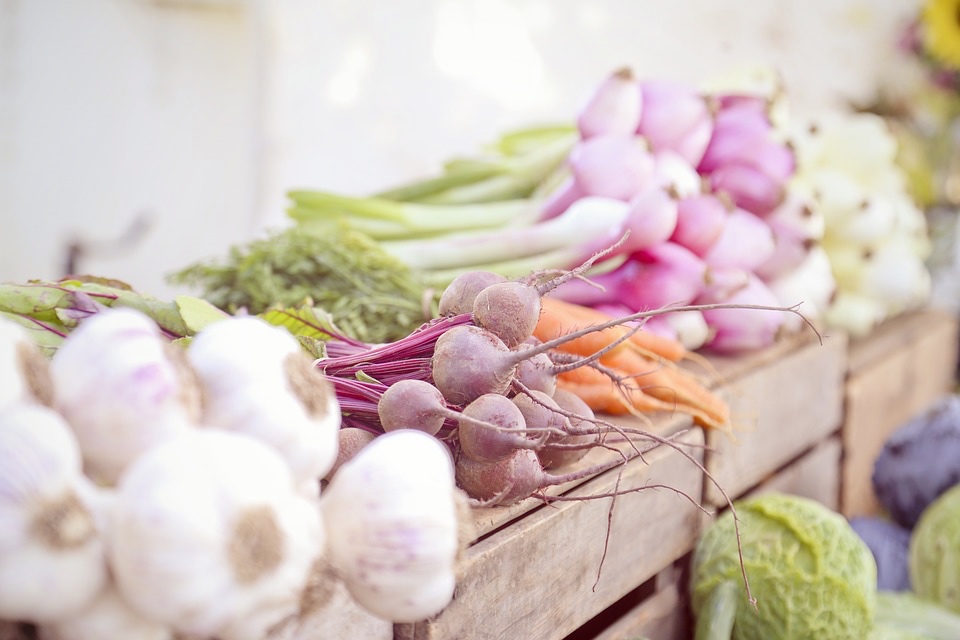 What’s the difference between tubers, bulbs, roots and rhyzomes?