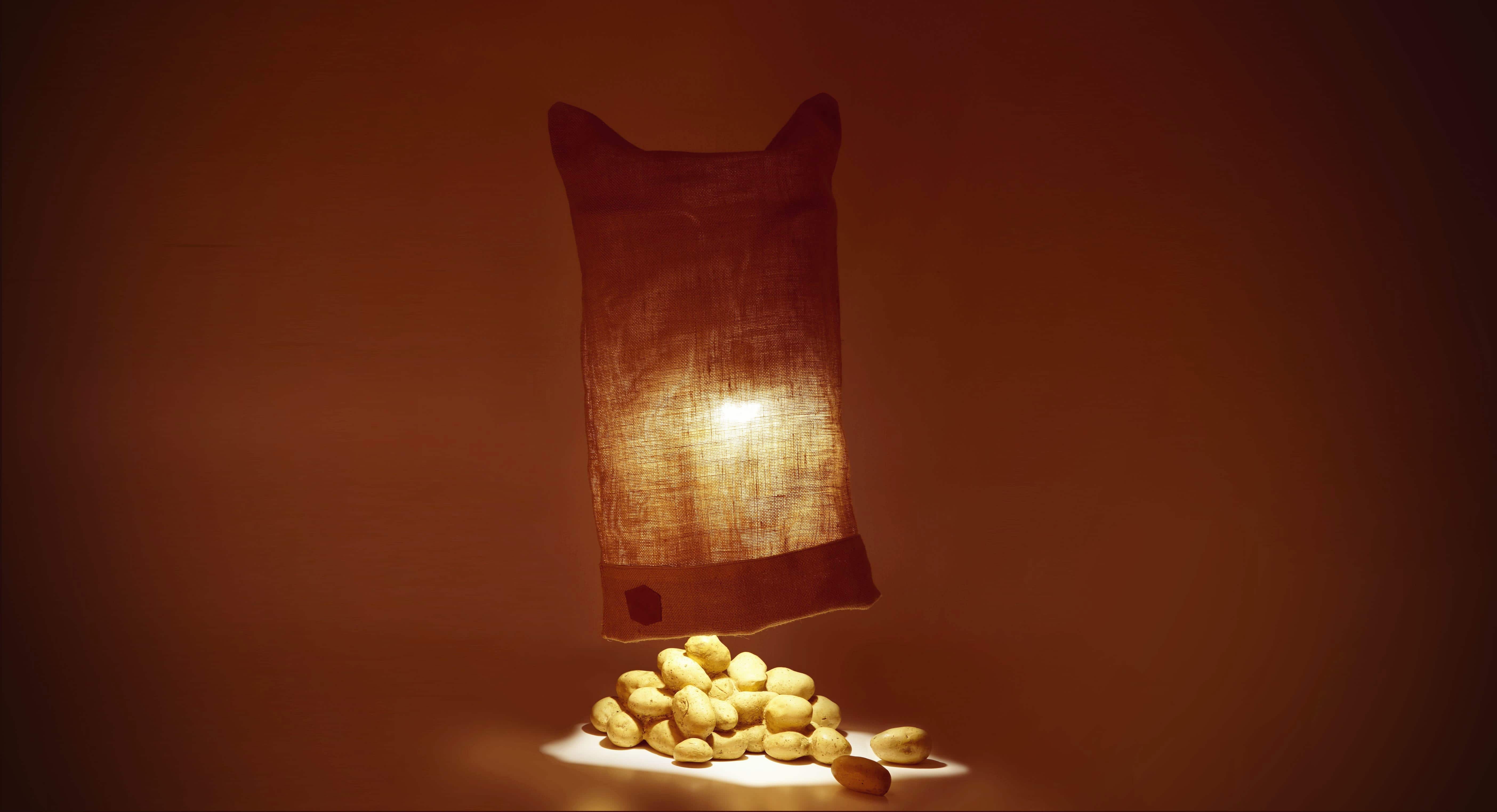 “La lampe patate”: the ordinary becomes extraordinary