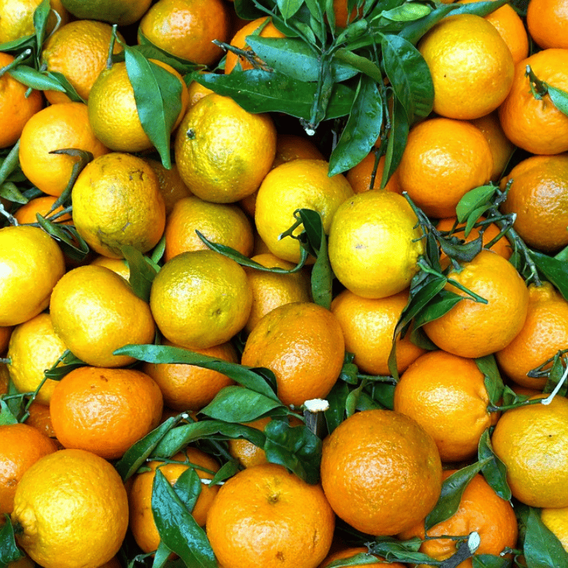 Gennaio: frutta e verdura del mese