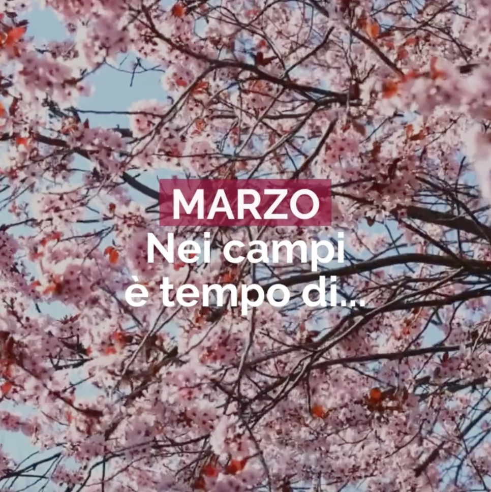 Marzo: nei campi è tempo di...