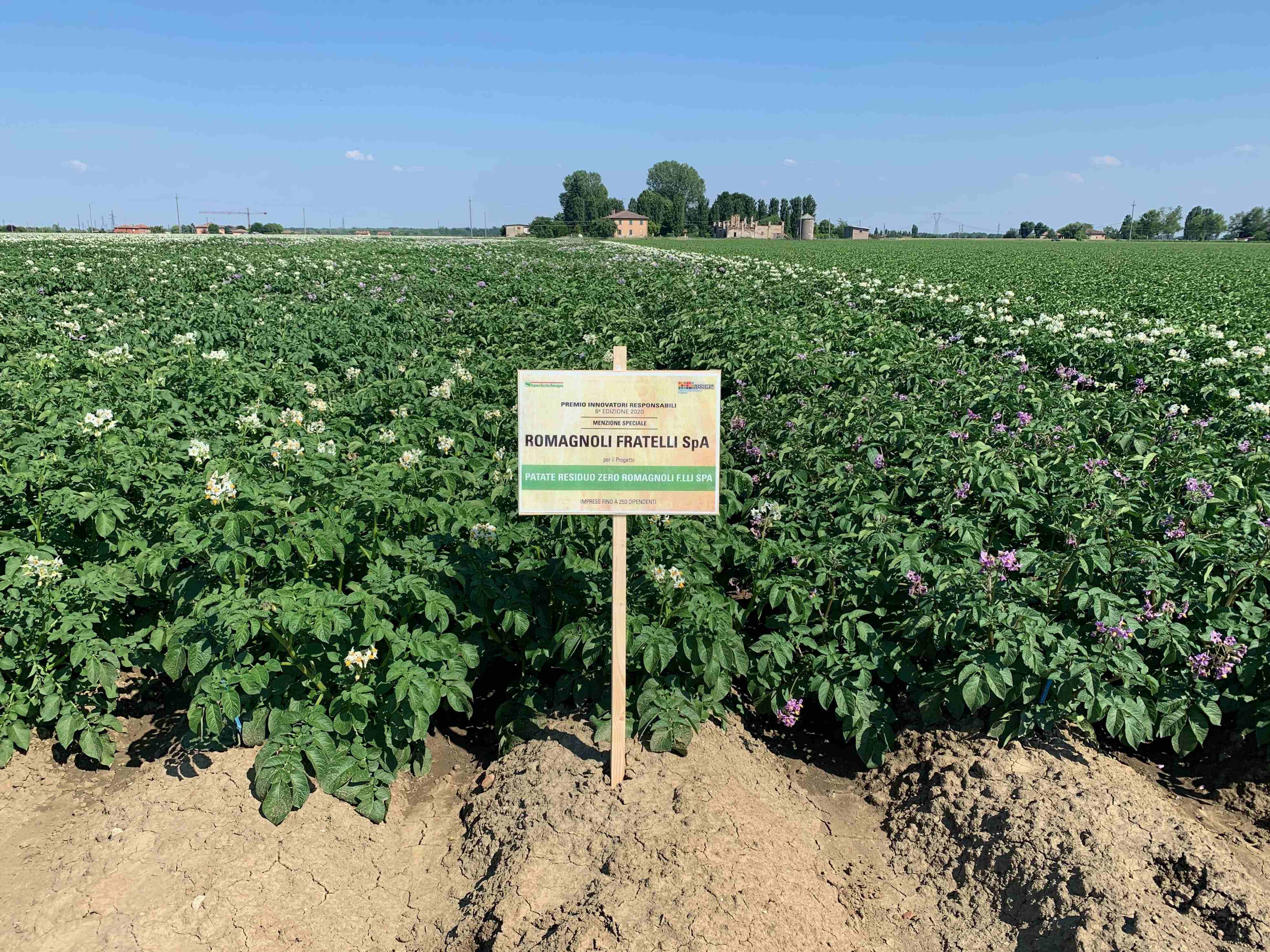 Le patate èVita Residuo Zero trionfano nel carrello, vendite a +203%