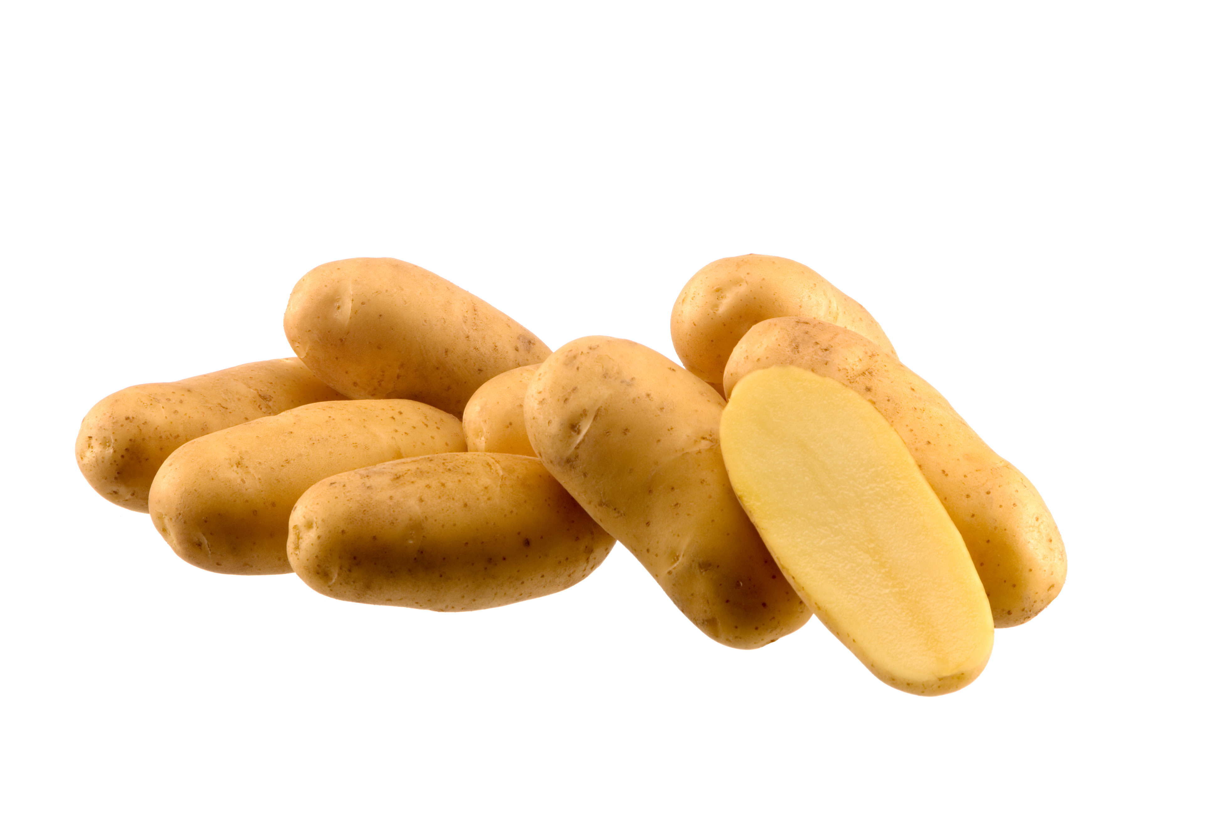 vendita patate da semina all'ingrosso